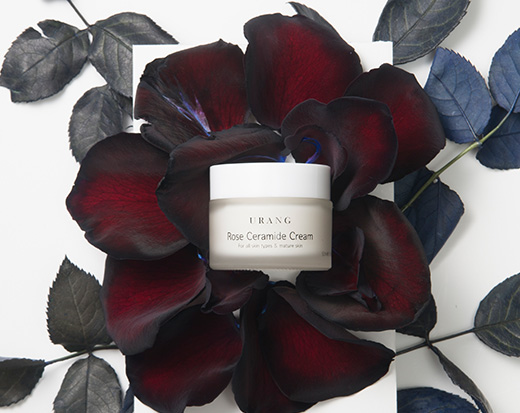 Rose Ceramide Cream